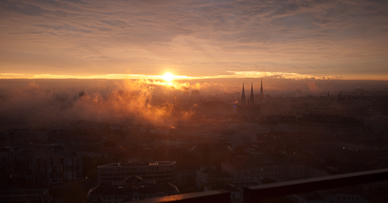 In the morning
